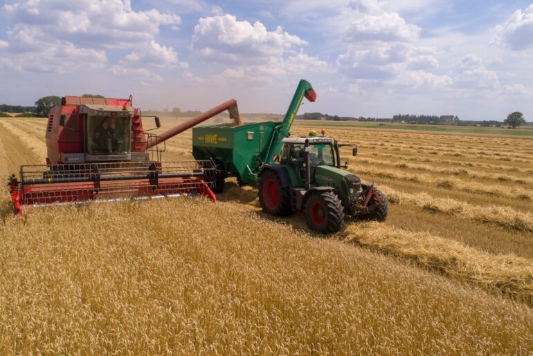 Gafta grain quality