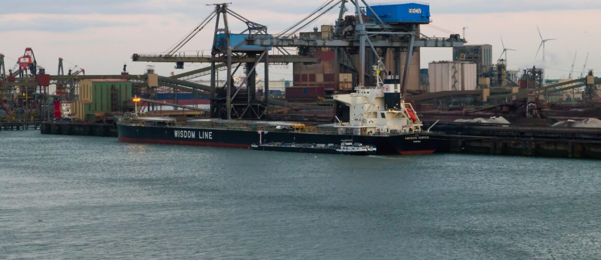 Bulk carrier at grain terminal port with loading cranes