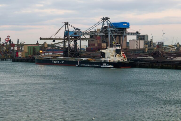 Bulk carrier at grain terminal port with loading cranes