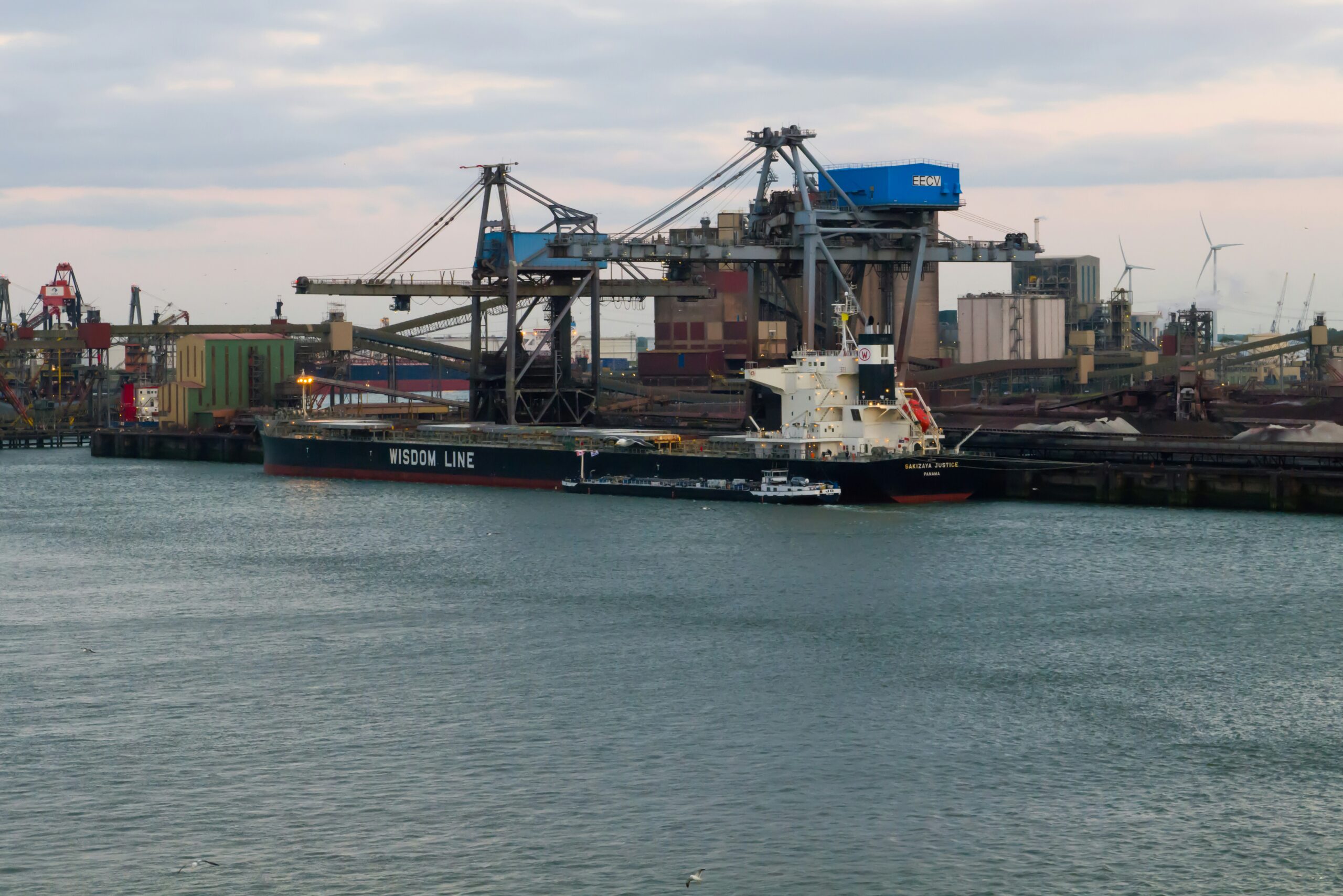 Bulk carrier at grain terminal port with loading cranes